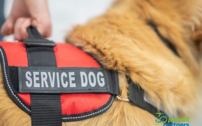 Service Animals in the Workplace